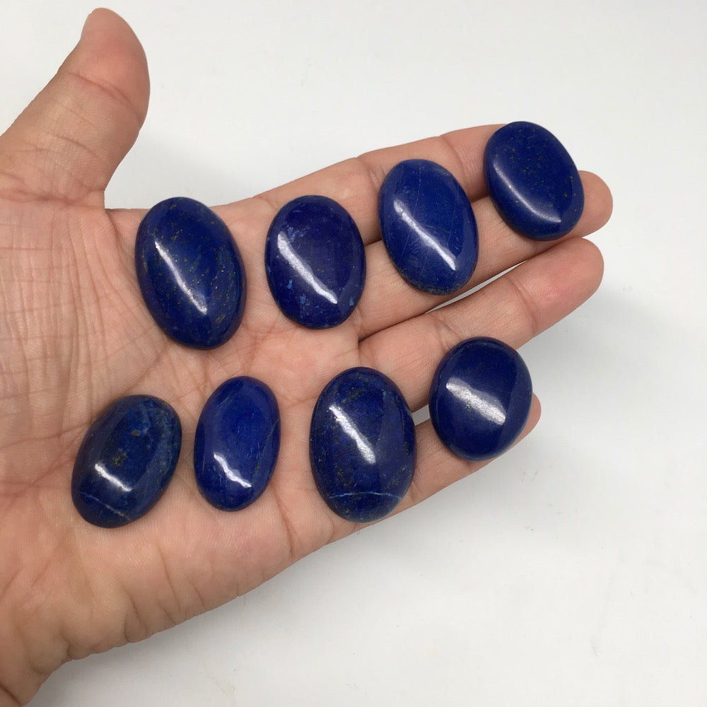 325cts, 8 pcs,Natural Oval Shape Lapis Lazuli Cabochons @Afghanistan,Lot118 - watangem.com