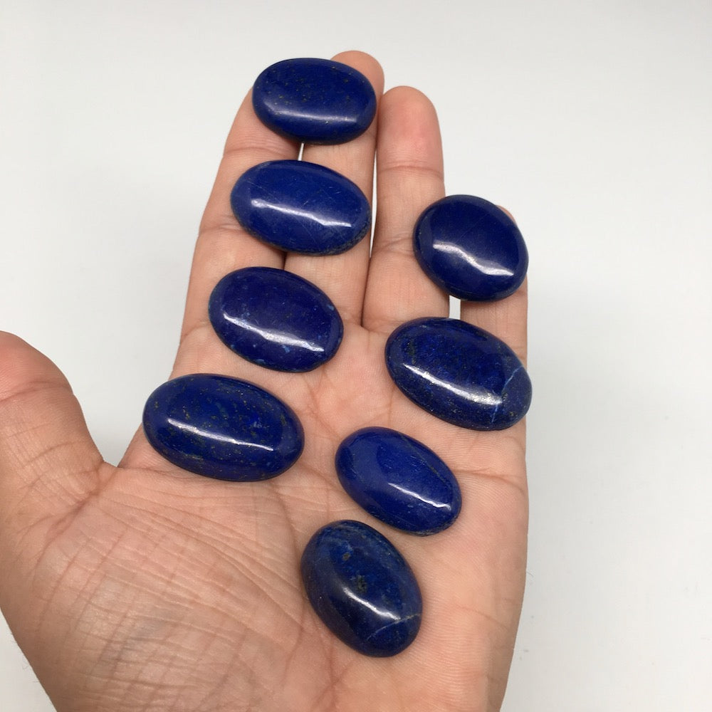 325cts, 8 pcs,Natural Oval Shape Lapis Lazuli Cabochons @Afghanistan,Lot118 - watangem.com