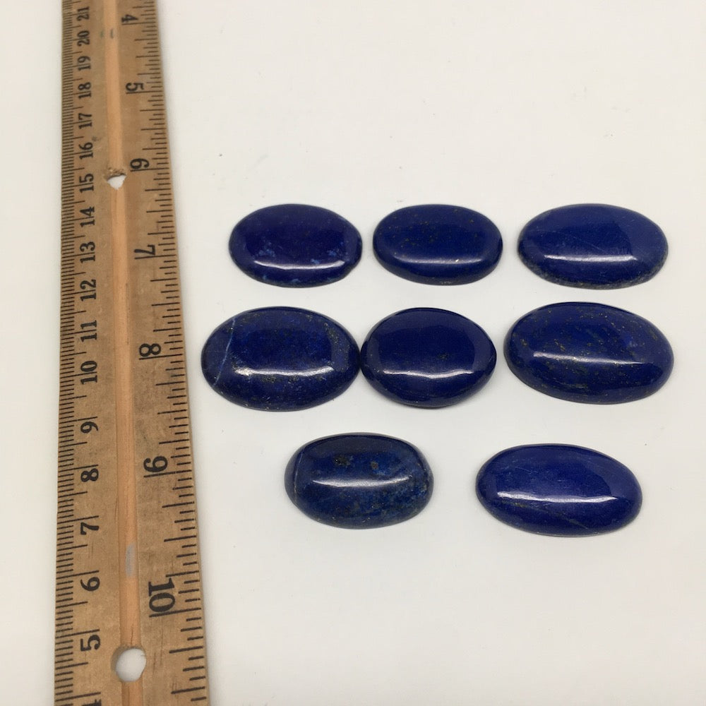 325cts, 8 pcs,Natural Oval Shape Lapis Lazuli Cabochons @Afghanistan,Lot118 - watangem.com