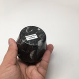 244g, 2.5"x2.7" Small Round Fossils Ammonite Brown Jewelry Box @Morocco,MF970 - watangem.com