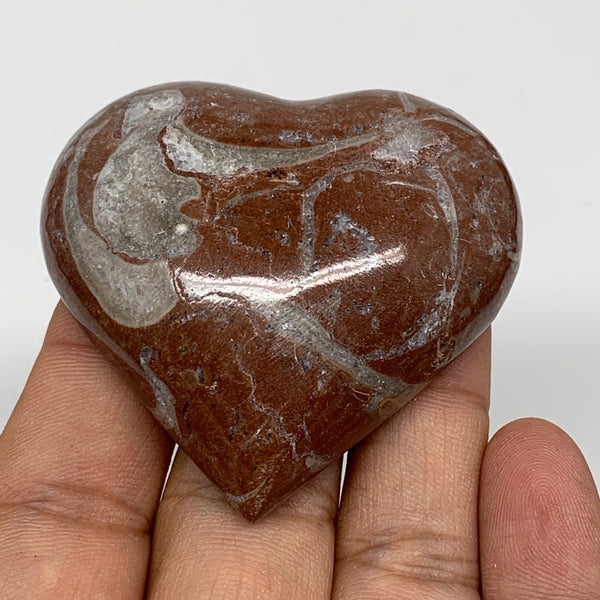 61.7g, 2" x 2.1"x 0.7", Natural Untreated Red Shell Fossils Half Heart @Morocco,