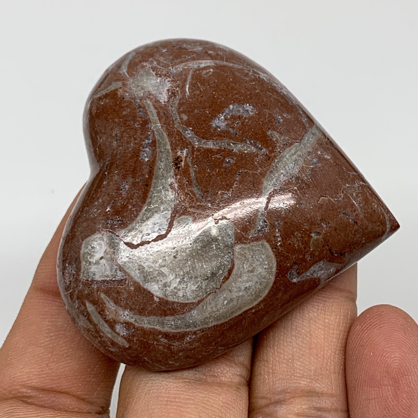 61.7g, 2" x 2.1"x 0.7", Natural Untreated Red Shell Fossils Half Heart @Morocco,