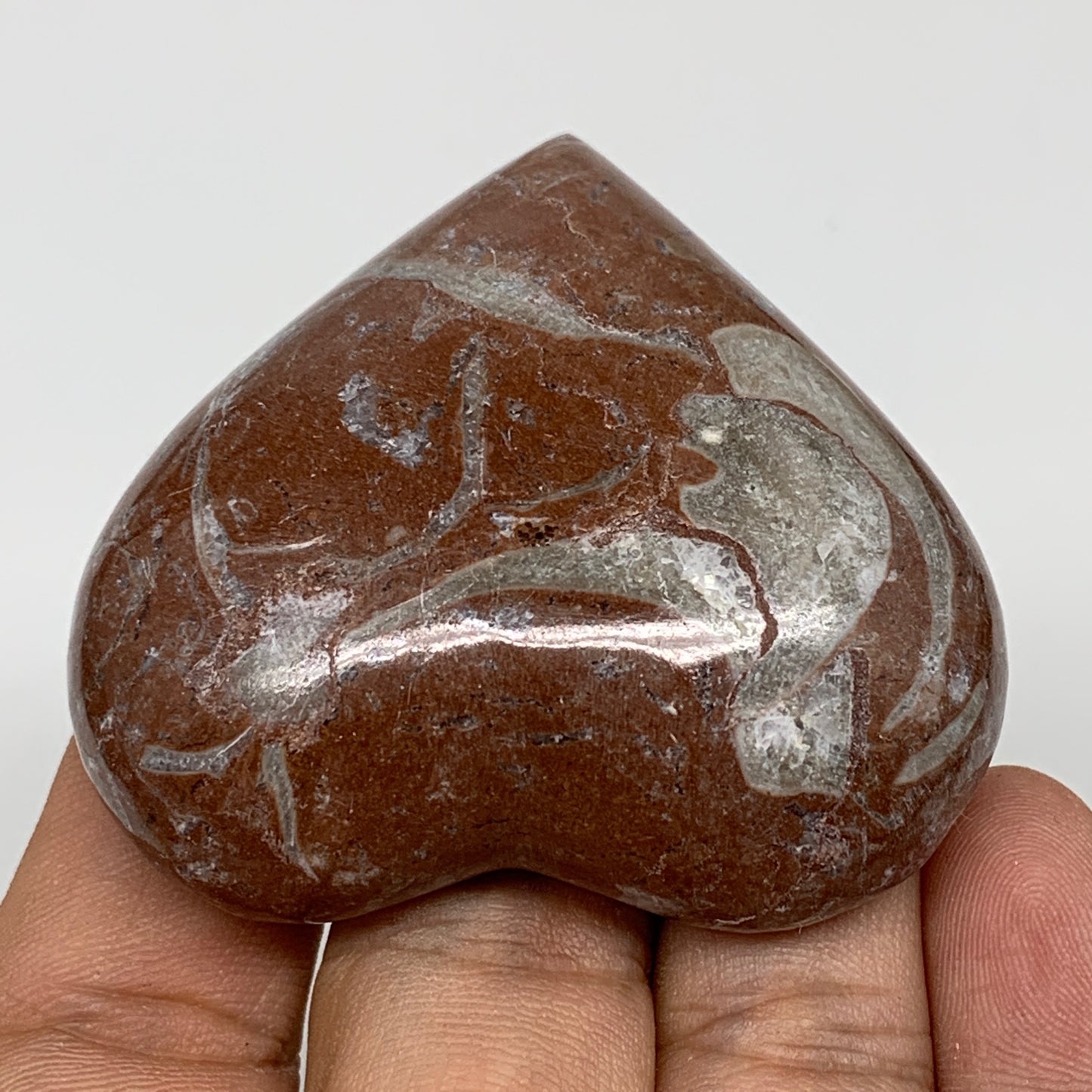 61.7g, 2" x 2.1"x 0.7", Natural Untreated Red Shell Fossils Half Heart @Morocco,