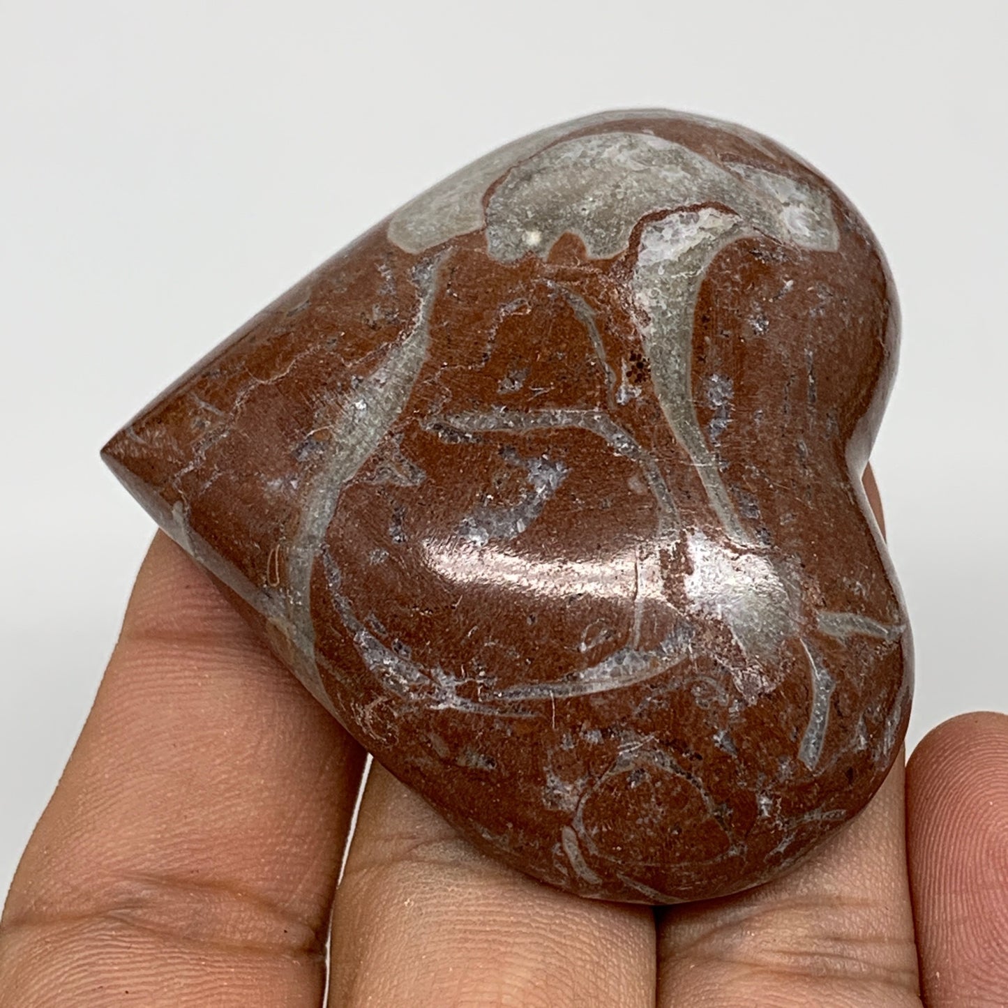 61.7g, 2" x 2.1"x 0.7", Natural Untreated Red Shell Fossils Half Heart @Morocco,