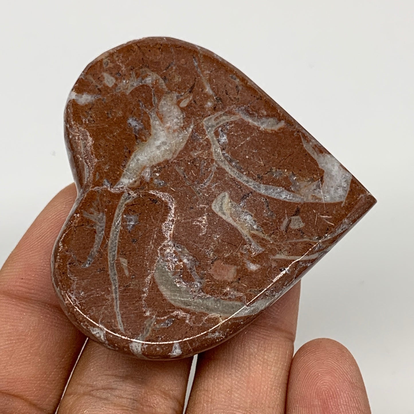 61.7g, 2" x 2.1"x 0.7", Natural Untreated Red Shell Fossils Half Heart @Morocco,