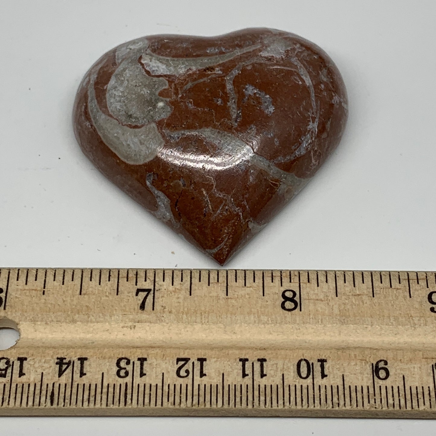 61.7g, 2" x 2.1"x 0.7", Natural Untreated Red Shell Fossils Half Heart @Morocco,