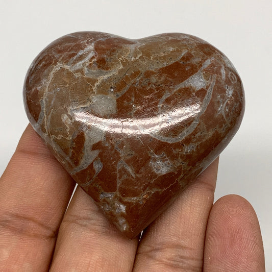 61.8g, 2" x 2.1"x 0.6", Natural Untreated Red Shell Fossils Half Heart @Morocco,