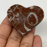 52g, 1.8" x 2"x 0.7", Natural Untreated Red Shell Fossils Half Heart @Morocco,F1