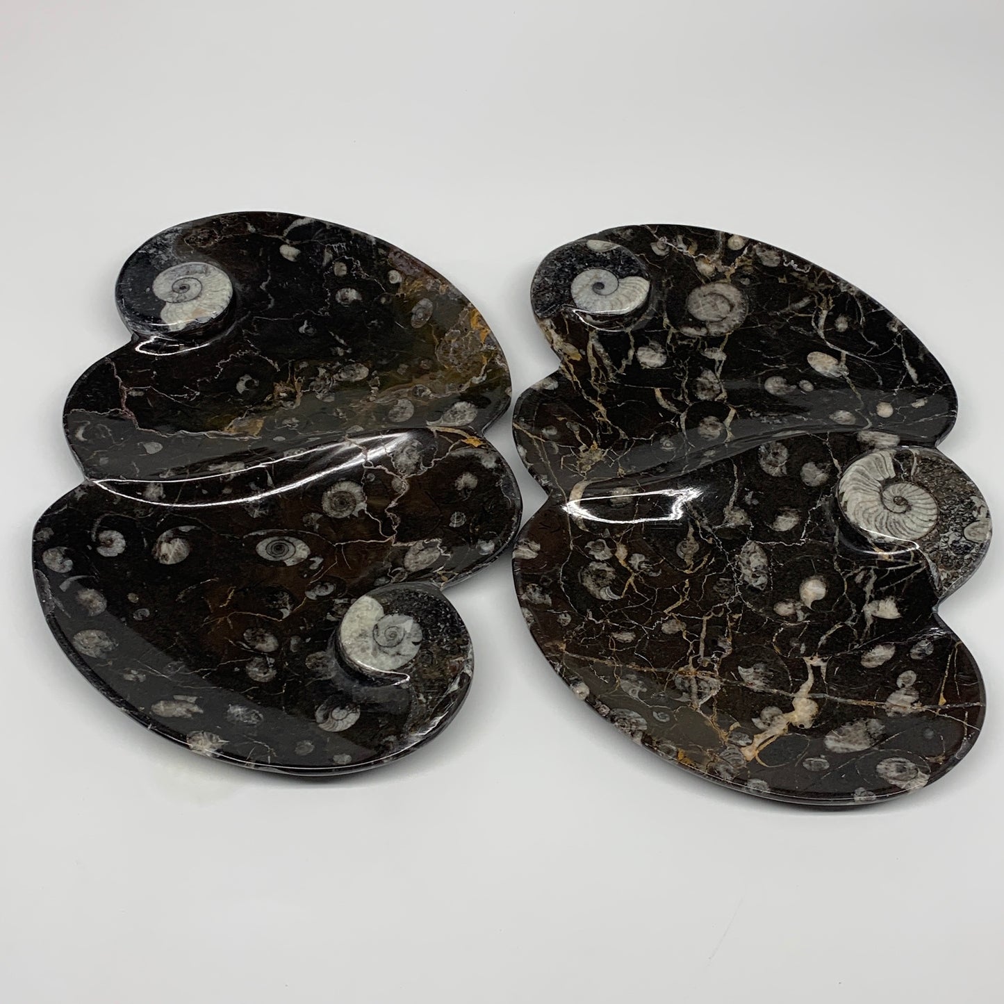 2pcs Set,8.5"x5.5" Double Heart Fossils Orthoceras Ammonite Bowls @Morocco,B8491