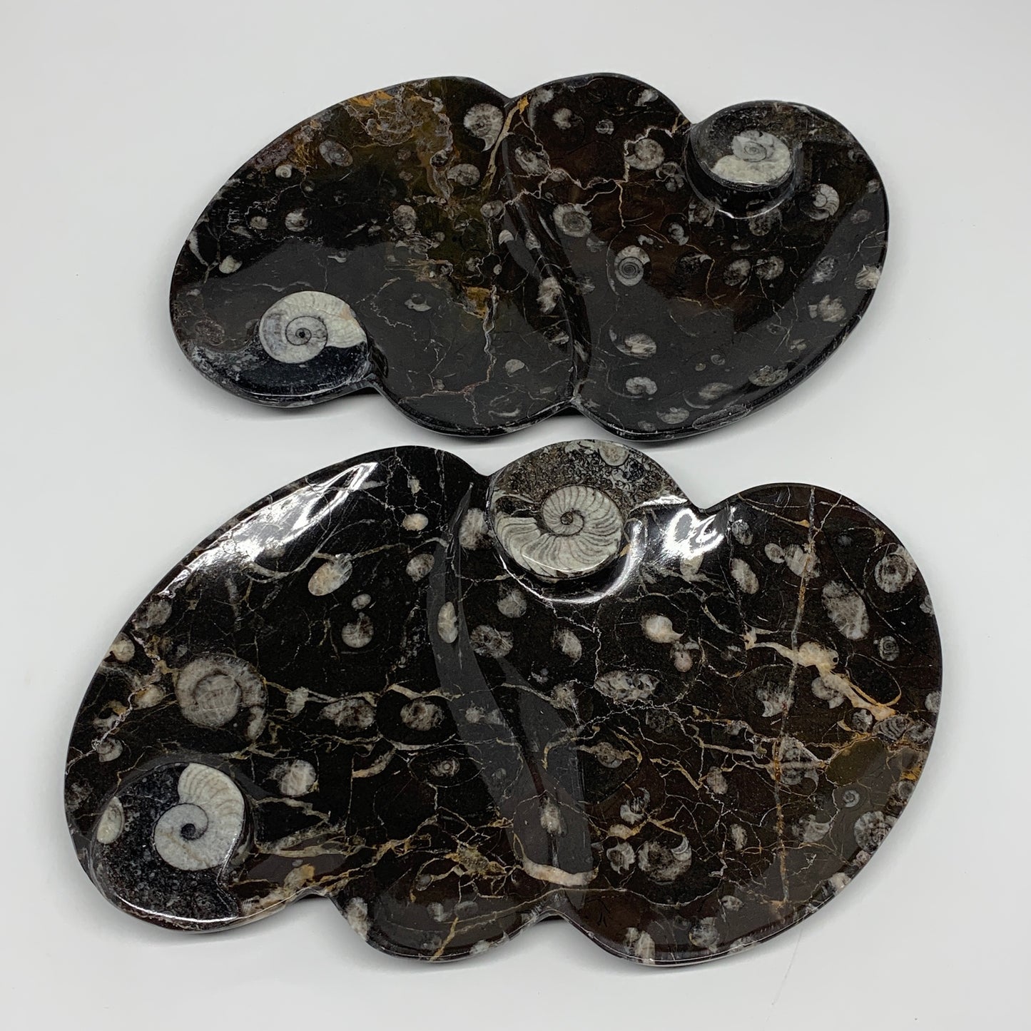 2pcs Set,8.5"x5.5" Double Heart Fossils Orthoceras Ammonite Bowls @Morocco,B8491