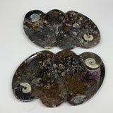 2pcs Set,8.5"x5.5" Double Heart Fossils Orthoceras Ammonite Bowls @Morocco,B8492