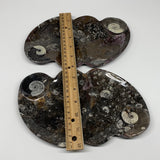 2pcs Set,8.5"x5.5" Double Heart Fossils Orthoceras Ammonite Bowls @Morocco,B8492