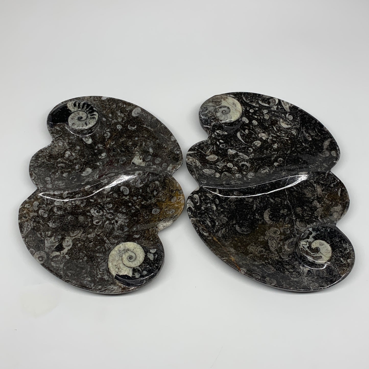 2pcs Set,8.5"x5.5" Double Heart Fossils Orthoceras Ammonite Bowls @Morocco,B8493