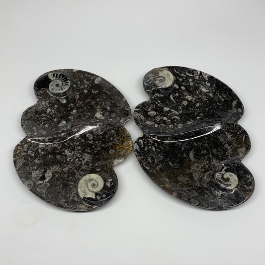 2pcs Set,8.5"x5.5" Double Heart Fossils Orthoceras Ammonite Bowls @Morocco,B8493