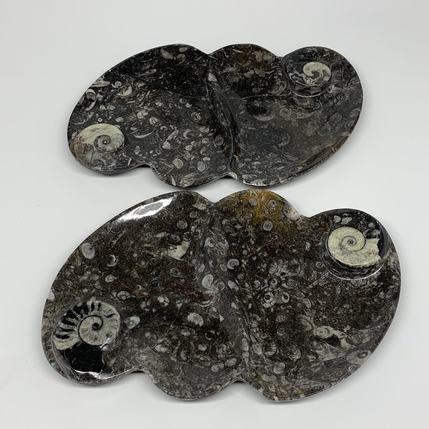 2pcs Set,8.5"x5.5" Double Heart Fossils Orthoceras Ammonite Bowls @Morocco,B8493