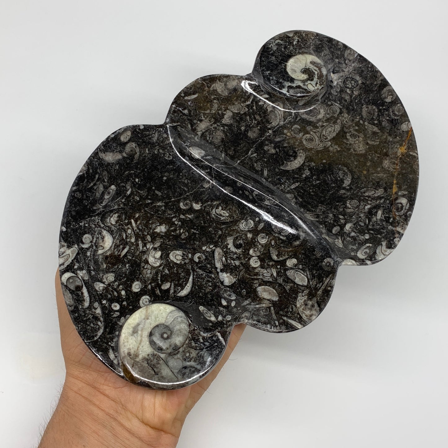 2pcs Set,8.5"x5.5" Double Heart Fossils Orthoceras Ammonite Bowls @Morocco,B8493