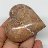 61g, 2" x 2.1"x 0.7", Natural Untreated Red Shell Fossils Half Heart @Morocco,F1
