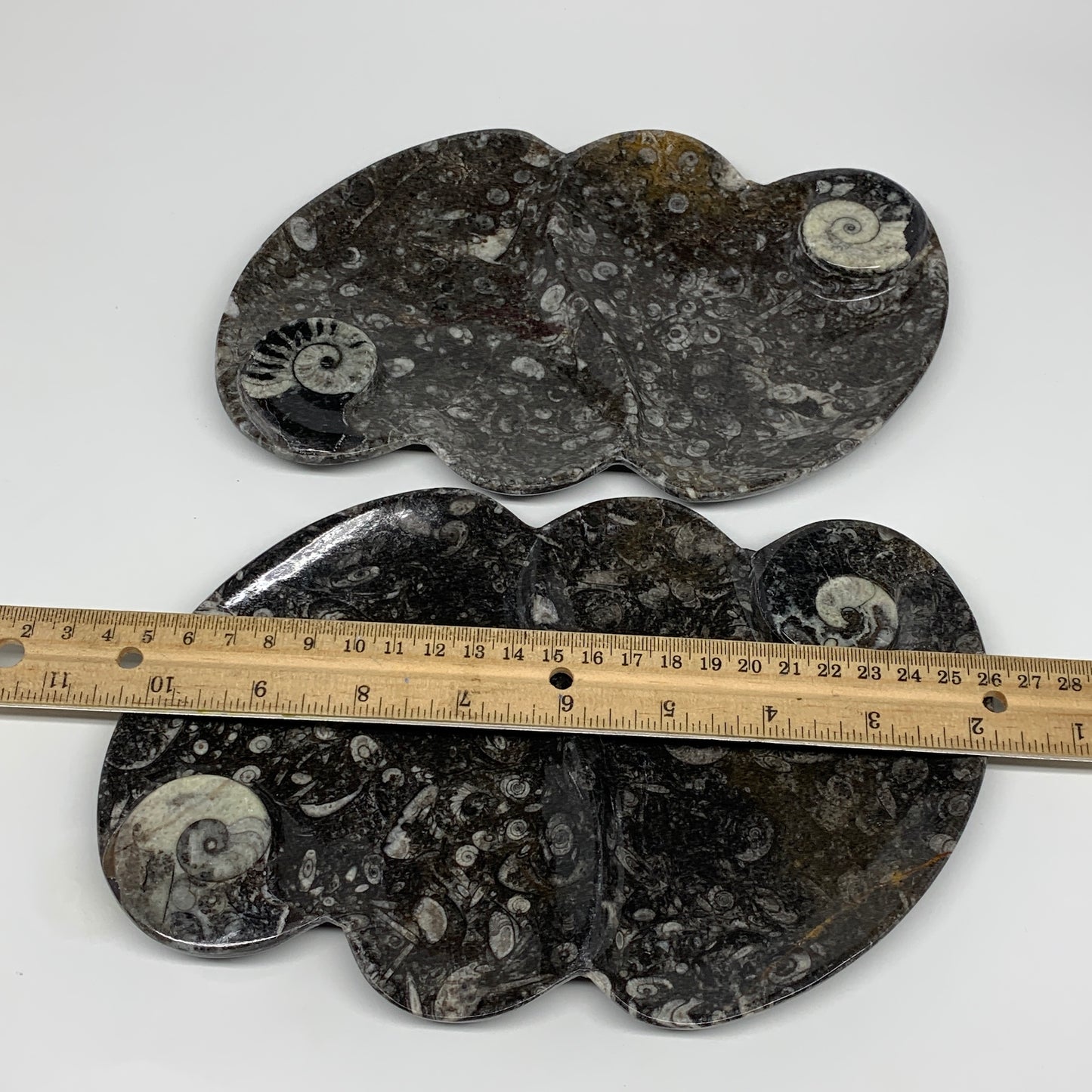 2pcs Set,8.5"x5.5" Double Heart Fossils Orthoceras Ammonite Bowls @Morocco,B8493