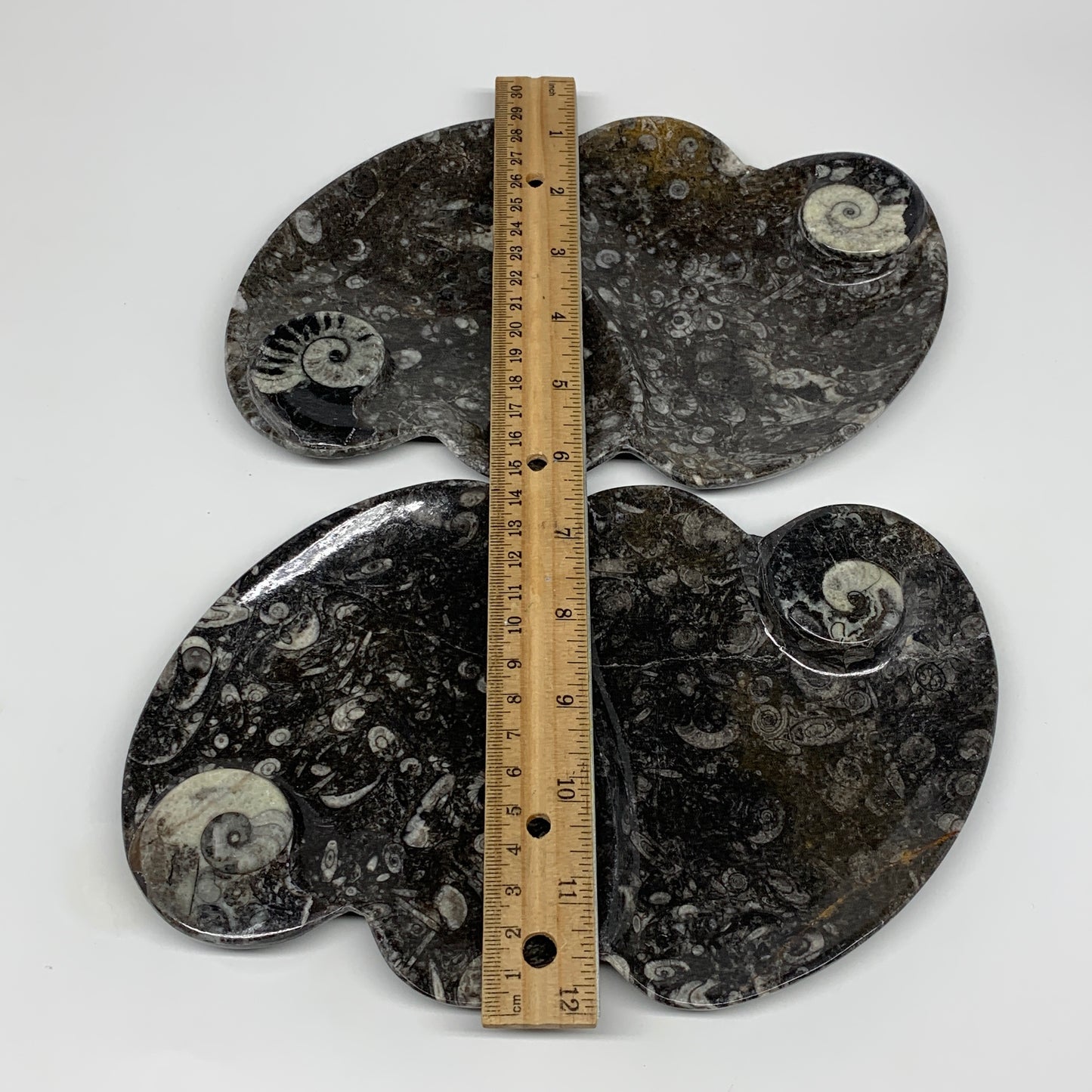 2pcs Set,8.5"x5.5" Double Heart Fossils Orthoceras Ammonite Bowls @Morocco,B8493