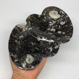 2pcs Set,8.5"x5.5" Double Heart Fossils Orthoceras Ammonite Bowls @Morocco,B8495