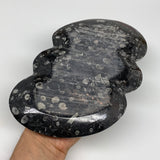 2pcs Set,8.5"x5.5" Double Heart Fossils Orthoceras Ammonite Bowls @Morocco,B8495