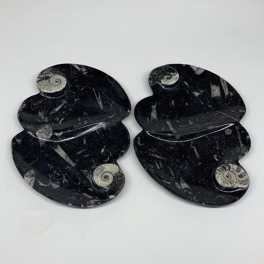 2pcs Set,8.5"x5.5" Double Heart Fossils Orthoceras Ammonite Bowls @Morocco,B8496
