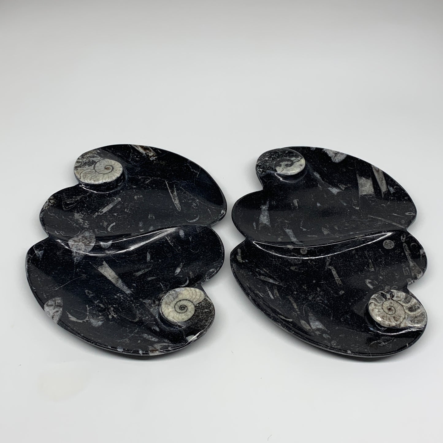 2pcs Set,8.5"x5.5" Double Heart Fossils Orthoceras Ammonite Bowls @Morocco,B8496