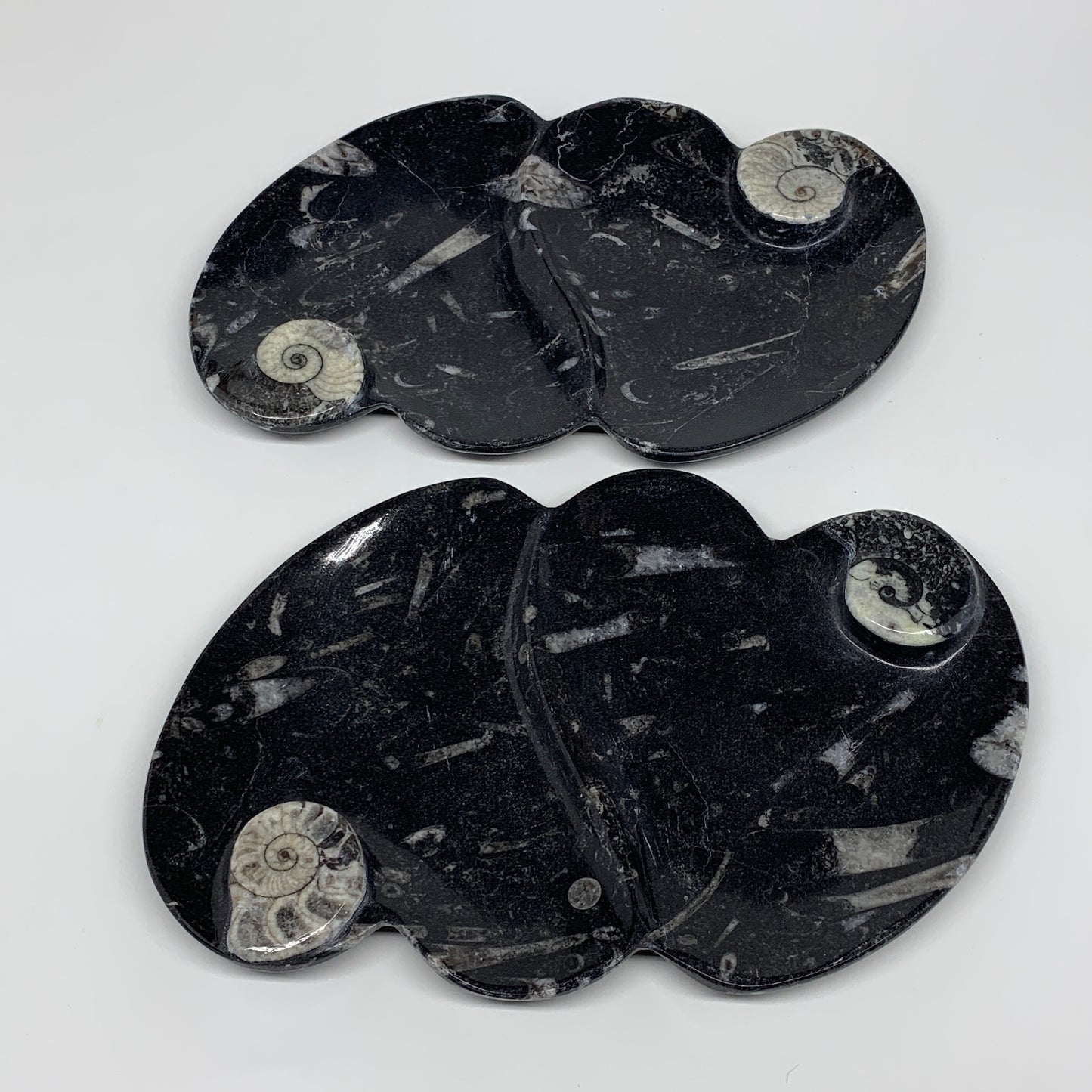 2pcs Set,8.5"x5.5" Double Heart Fossils Orthoceras Ammonite Bowls @Morocco,B8496