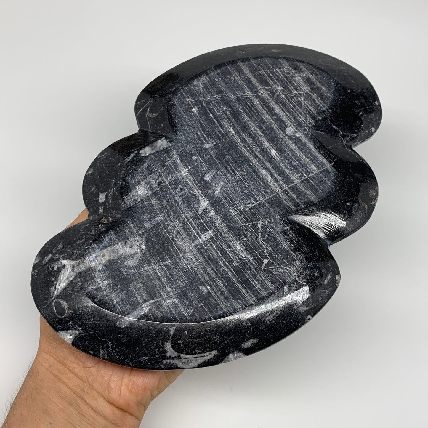 2pcs Set,8.5"x5.5" Double Heart Fossils Orthoceras Ammonite Bowls @Morocco,B8496