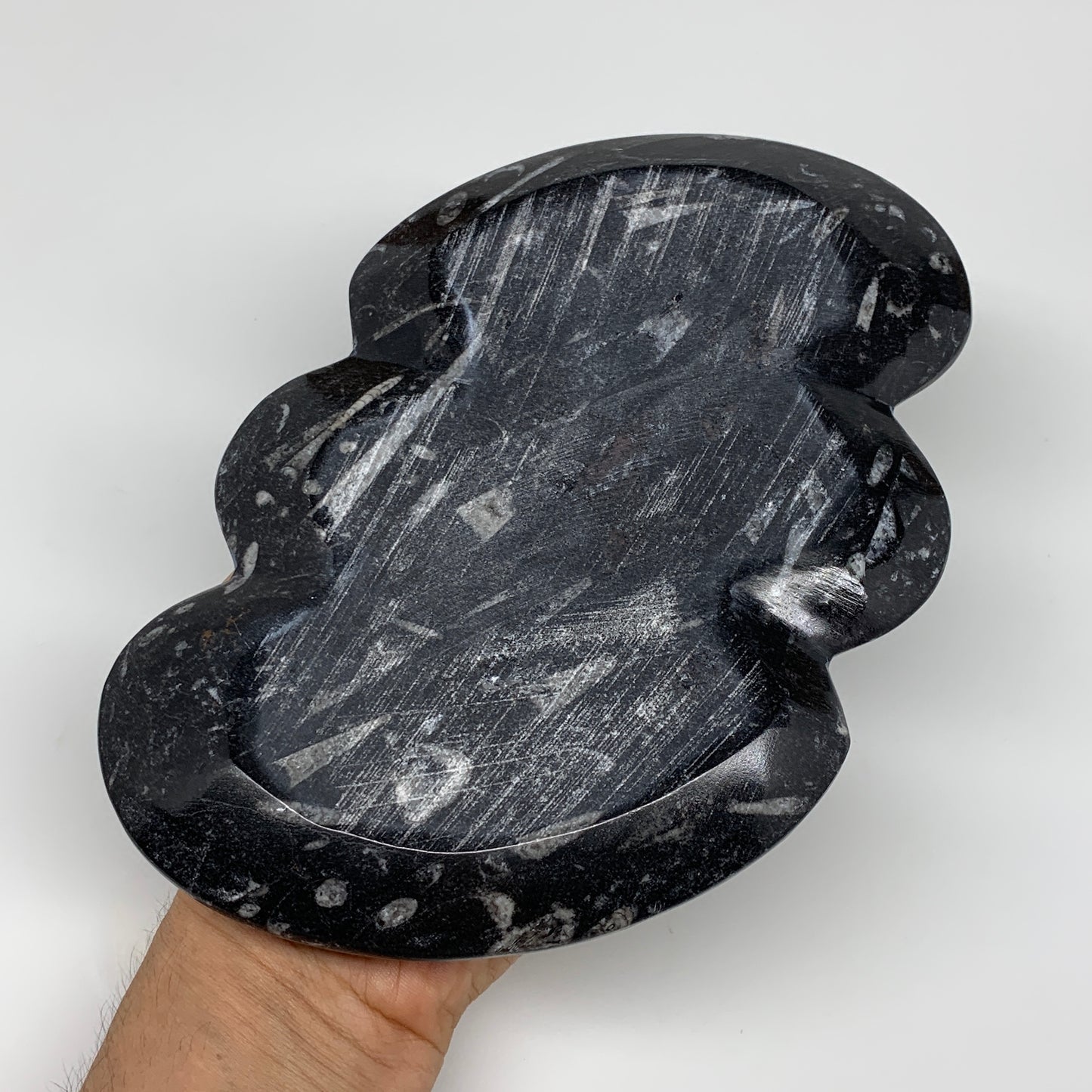 2pcs Set,8.5"x5.5" Double Heart Fossils Orthoceras Ammonite Bowls @Morocco,B8496