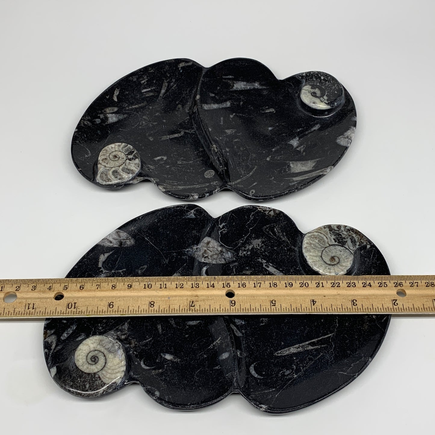 2pcs Set,8.5"x5.5" Double Heart Fossils Orthoceras Ammonite Bowls @Morocco,B8496