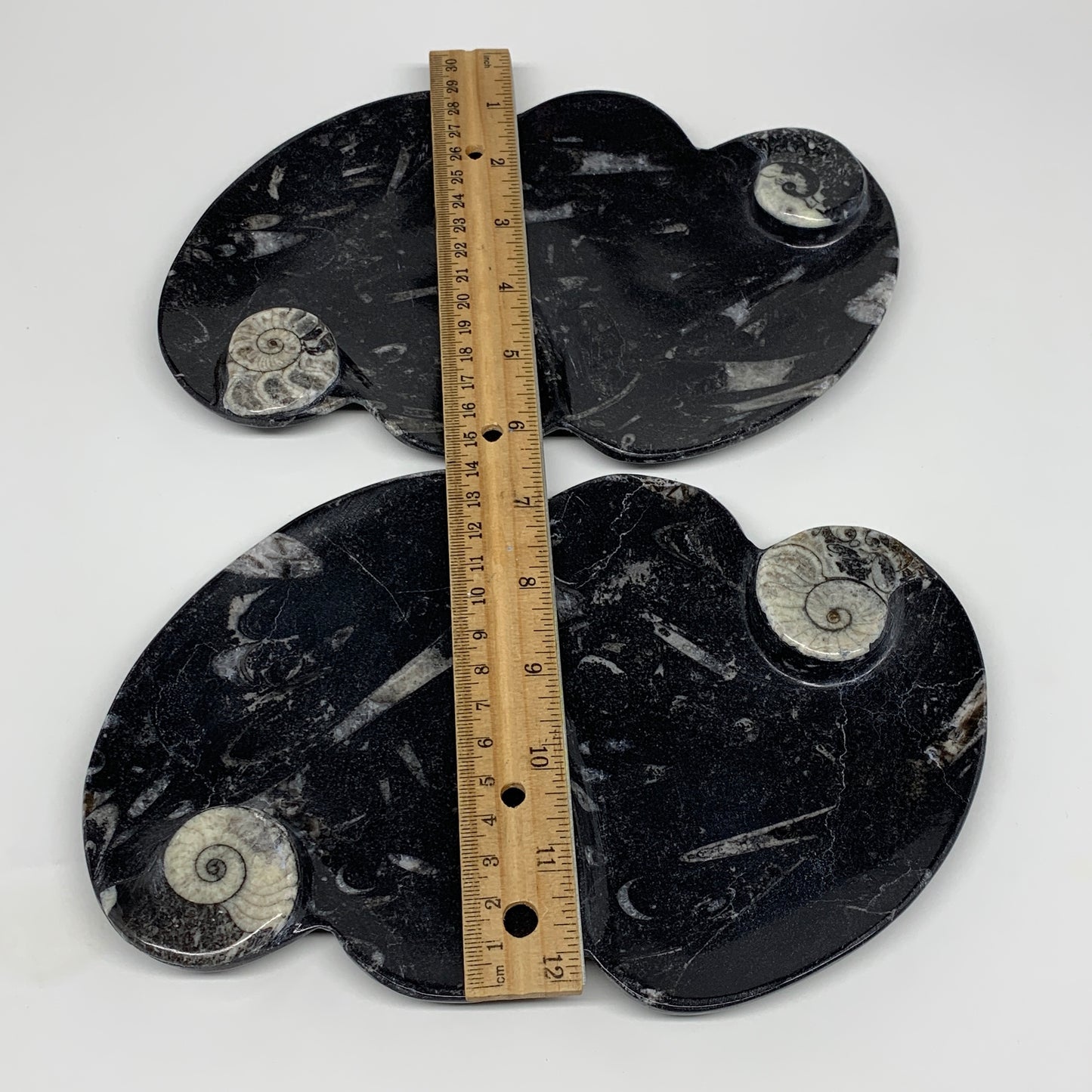 2pcs Set,8.5"x5.5" Double Heart Fossils Orthoceras Ammonite Bowls @Morocco,B8496