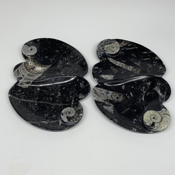 2pcs Set,8.5"x5.5" Double Heart Fossils Orthoceras Ammonite Bowls @Morocco,B8497