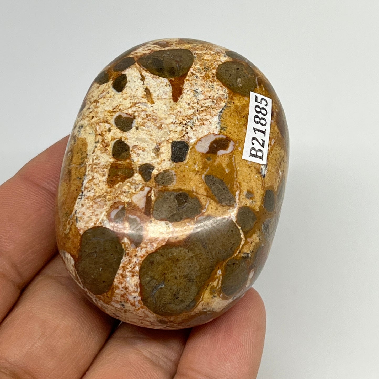 114.7g, 2.3"x1.7"x1.1", Natural Fruit Jasper Palm-Stone Gemstone @India, B21885