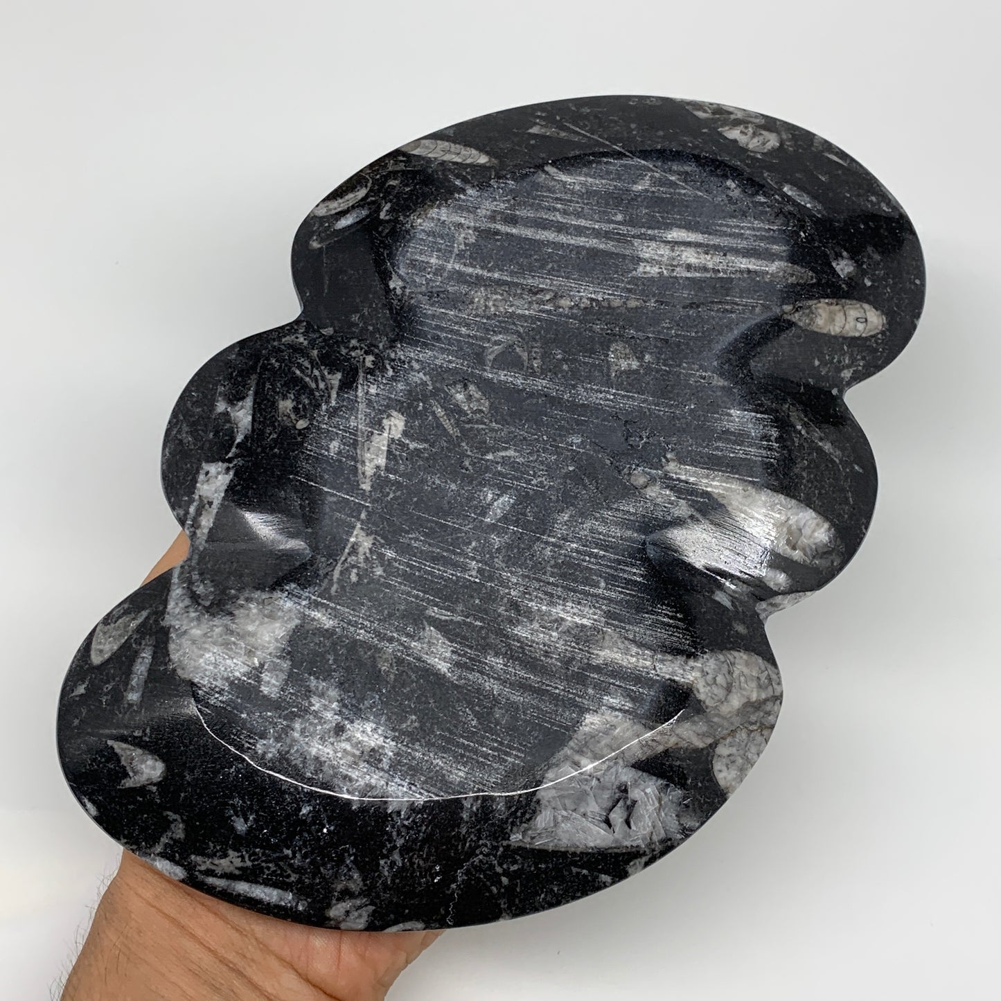 2pcs Set,8.5"x5.5" Double Heart Fossils Orthoceras Ammonite Bowls @Morocco,B8497