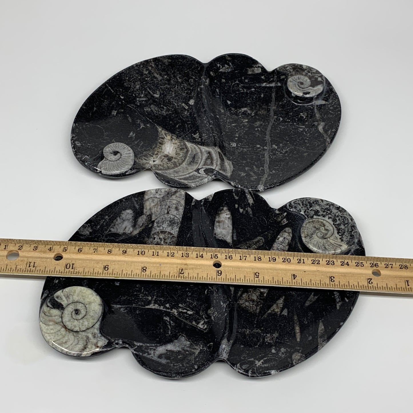 2pcs Set,8.5"x5.5" Double Heart Fossils Orthoceras Ammonite Bowls @Morocco,B8497