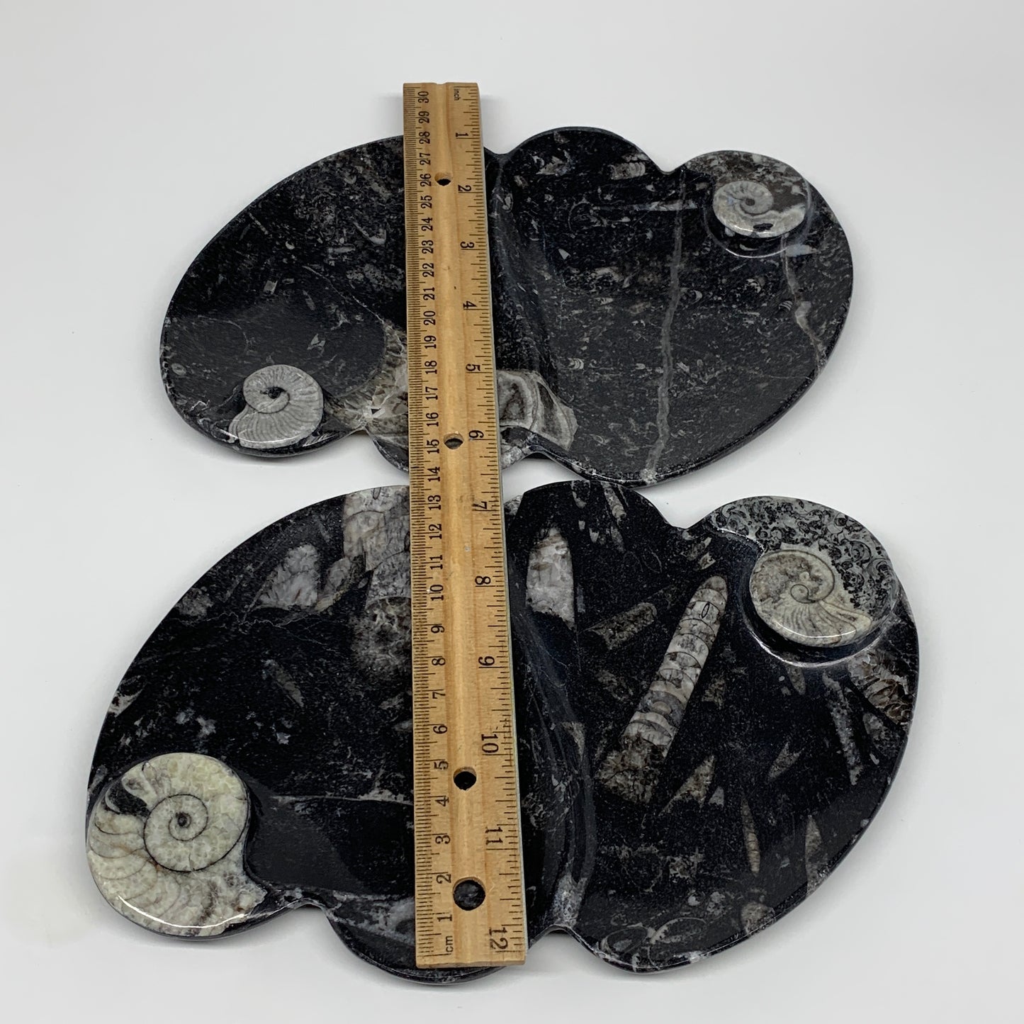 2pcs Set,8.5"x5.5" Double Heart Fossils Orthoceras Ammonite Bowls @Morocco,B8497