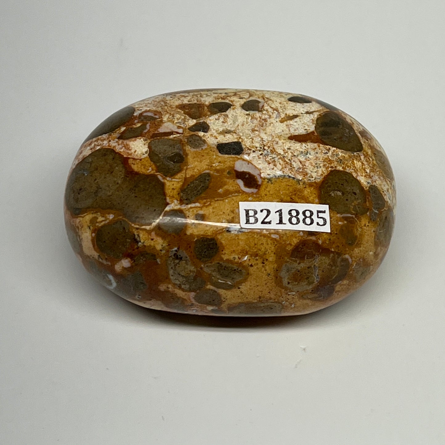 114.7g, 2.3"x1.7"x1.1", Natural Fruit Jasper Palm-Stone Gemstone @India, B21885