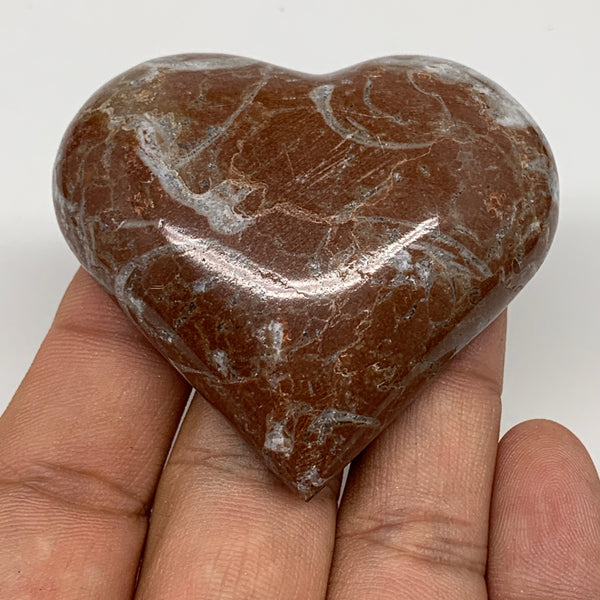 60.5g, 2" x 2.2"x 0.6", Natural Untreated Red Shell Fossils Half Heart @Morocco,