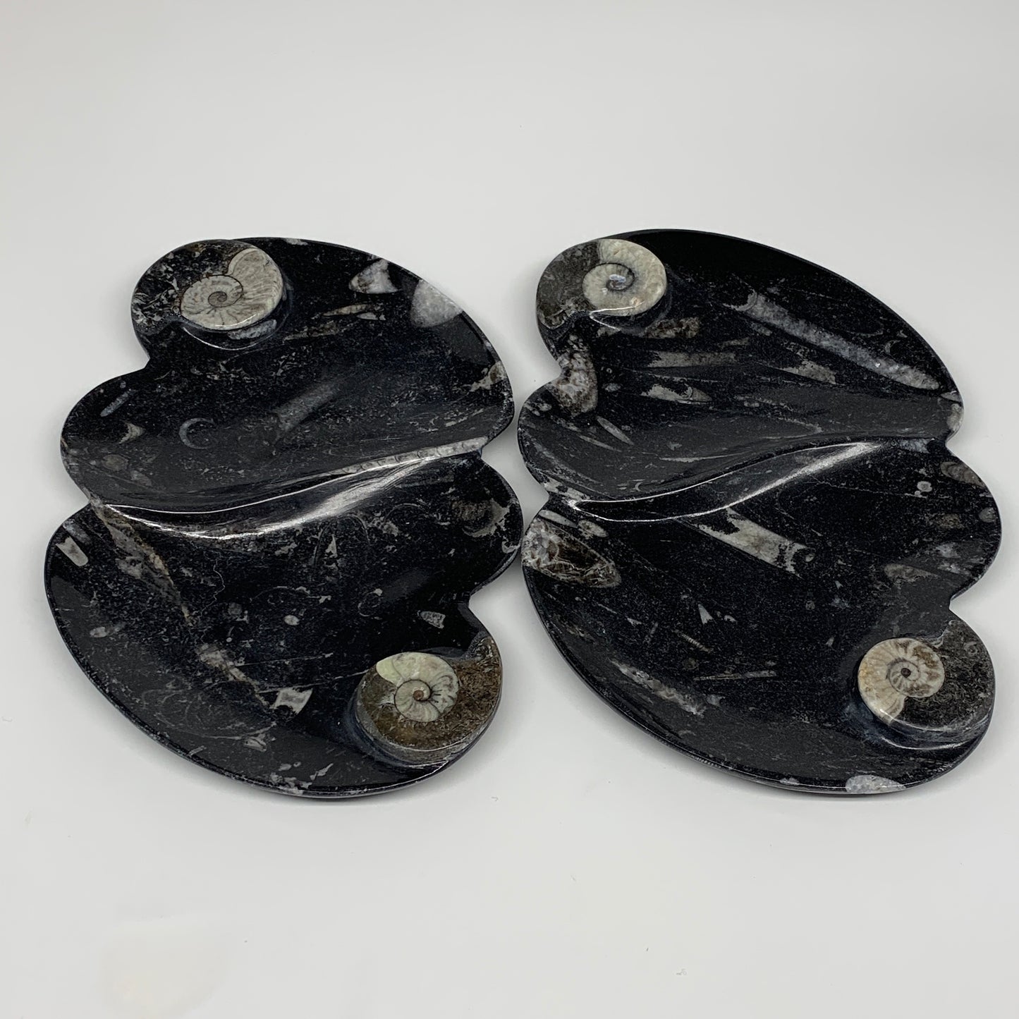 2pcs Set,8.5"x5.5" Double Heart Fossils Orthoceras Ammonite Bowls @Morocco,B8499