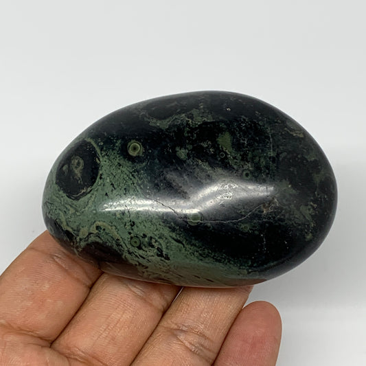 160.9g, 2.9"x2"x1.2", Crocodile Kambaba Jasper Palm-Stone @Madagascar, B15163