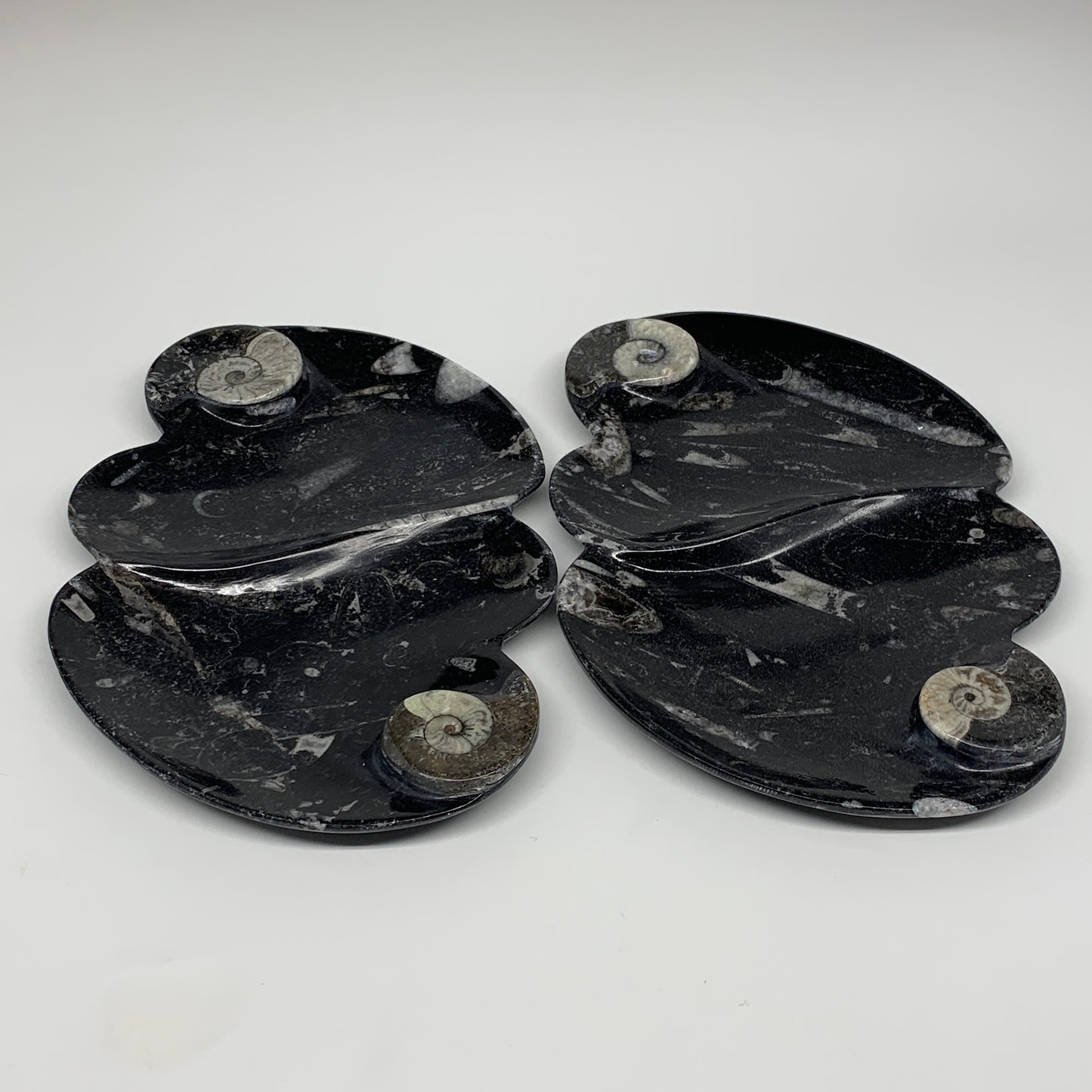 2pcs Set,8.5"x5.5" Double Heart Fossils Orthoceras Ammonite Bowls @Morocco,B8499