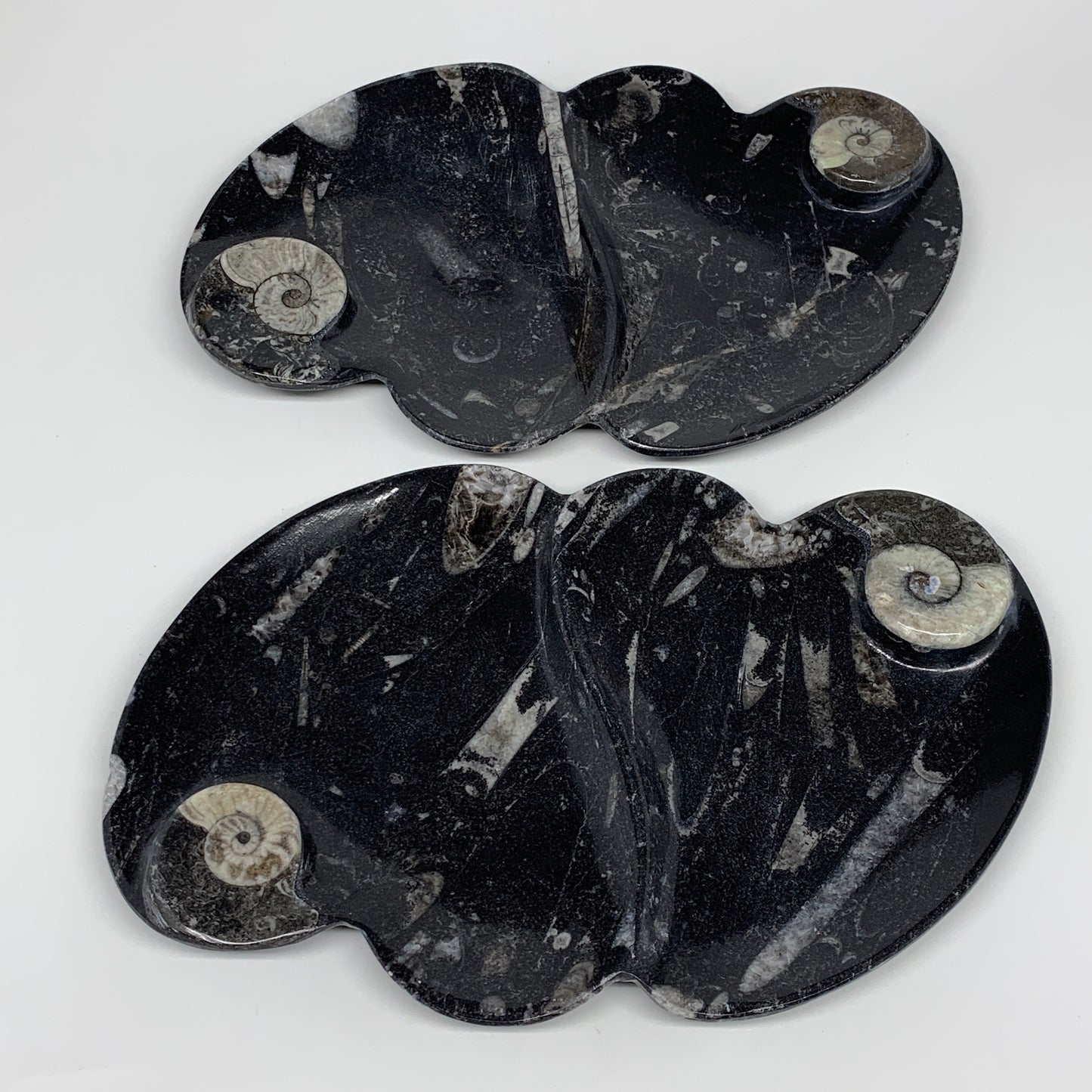 2pcs Set,8.5"x5.5" Double Heart Fossils Orthoceras Ammonite Bowls @Morocco,B8499