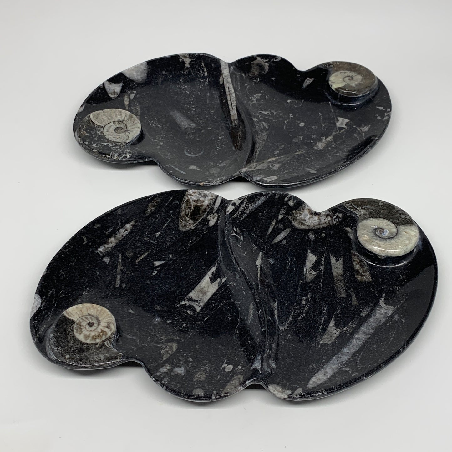 2pcs Set,8.5"x5.5" Double Heart Fossils Orthoceras Ammonite Bowls @Morocco,B8499