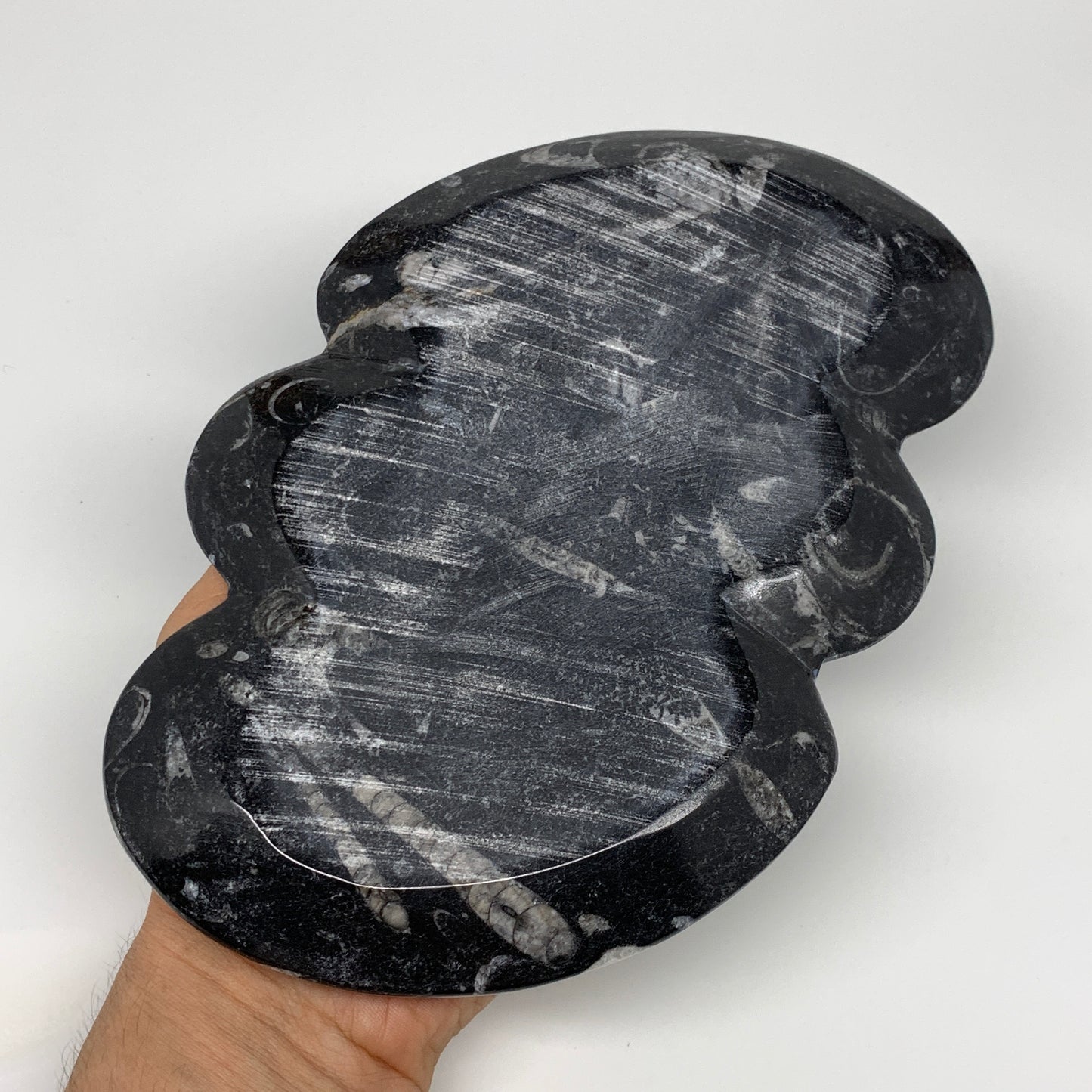 2pcs Set,8.5"x5.5" Double Heart Fossils Orthoceras Ammonite Bowls @Morocco,B8499