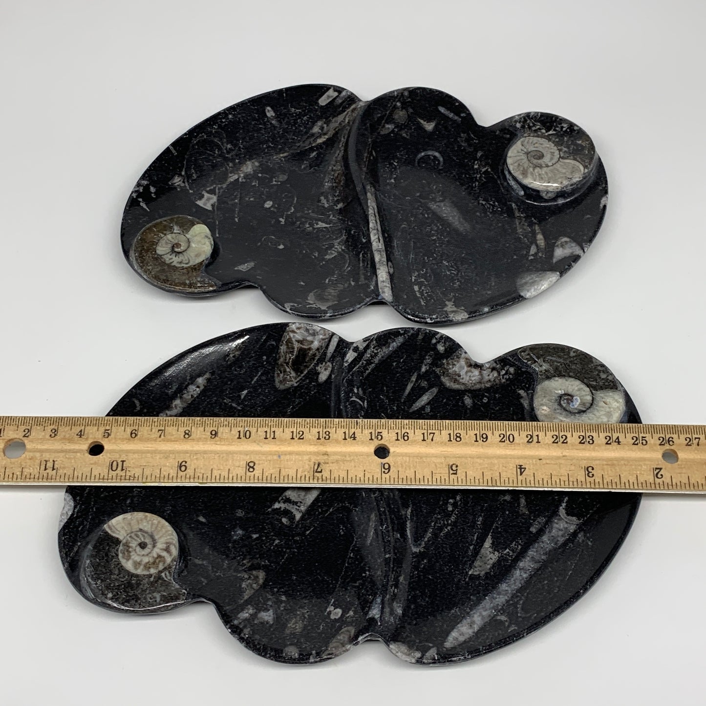 2pcs Set,8.5"x5.5" Double Heart Fossils Orthoceras Ammonite Bowls @Morocco,B8499