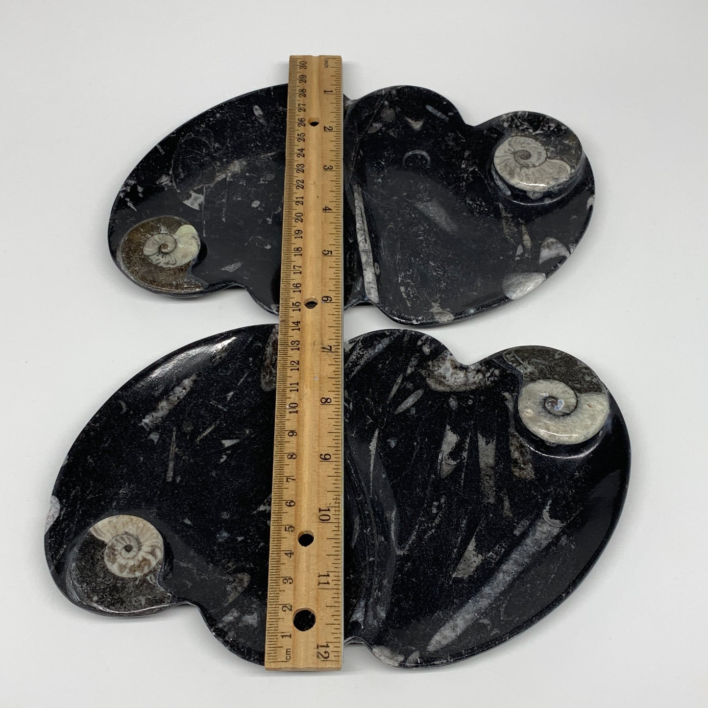 2pcs Set,8.5"x5.5" Double Heart Fossils Orthoceras Ammonite Bowls @Morocco,B8499