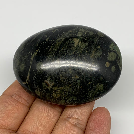 128g, 2.6"x2"x1.1", Crocodile Kambaba Jasper Palm-Stone @Madagascar, B15164