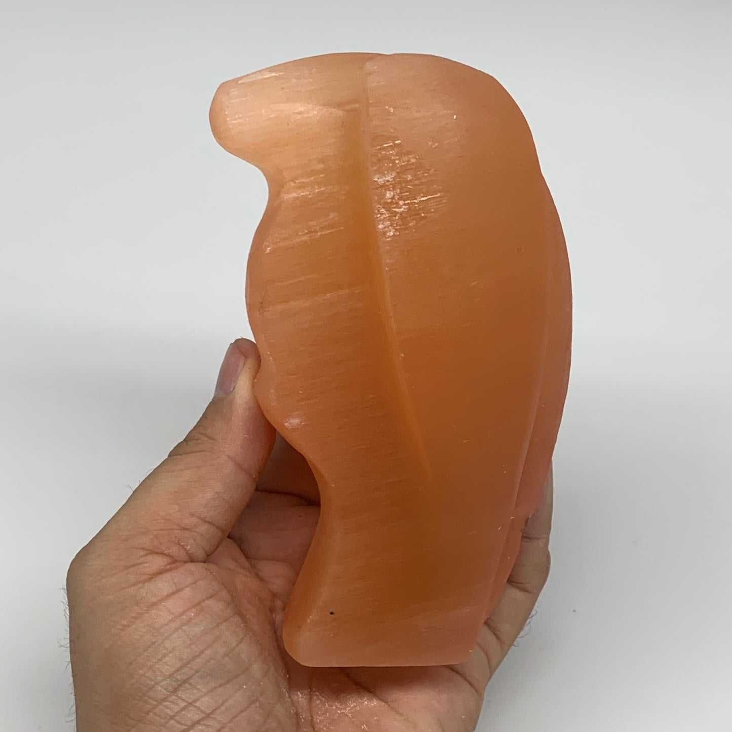 574g, 4.8"x2.9"x2.5"" Orange Selenite (Satin Spar) Angel Crystal @Morocco,B9369