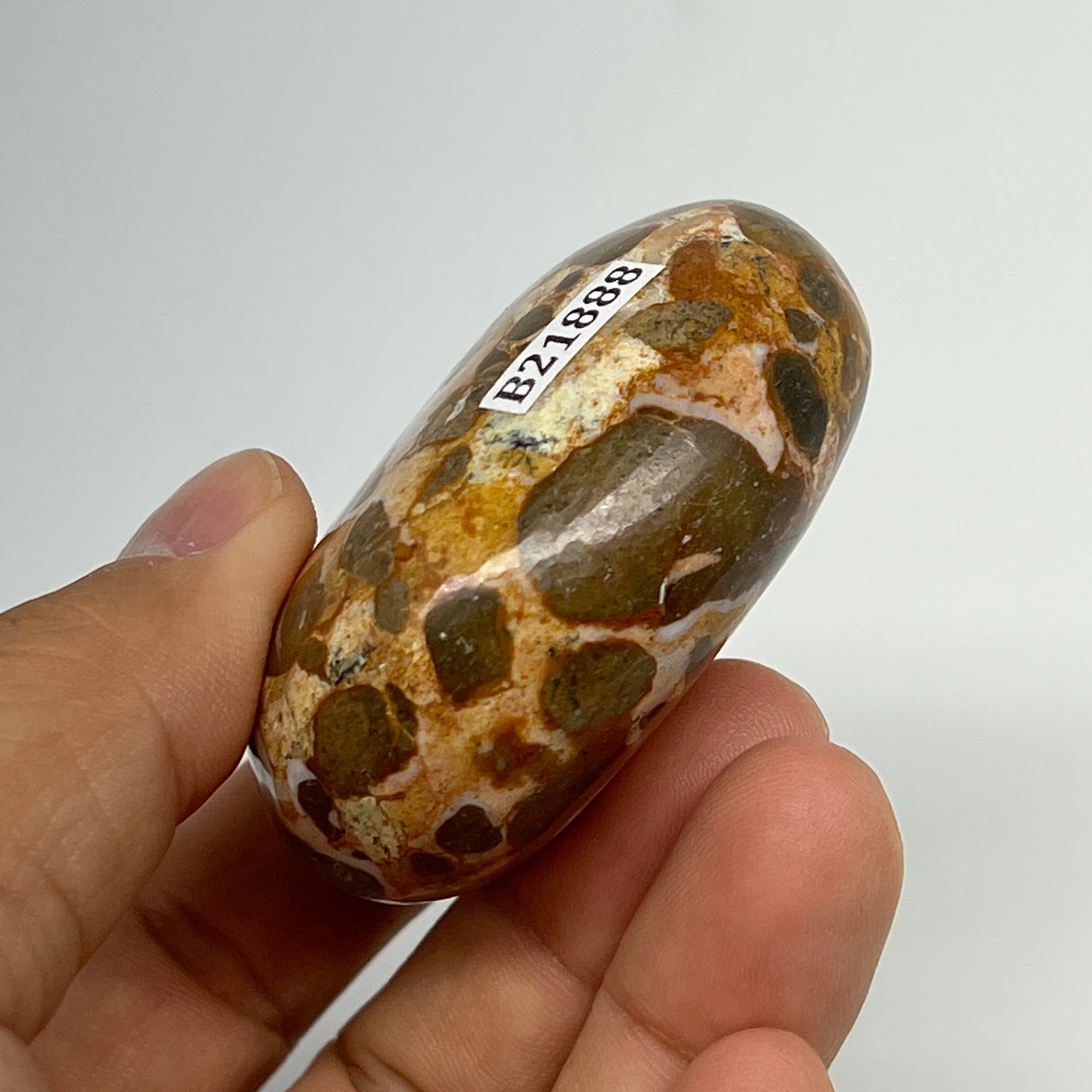 105.3g, 2.2"x1.7"x1", Natural Fruit Jasper Palm-Stone Gemstone @India, B21888